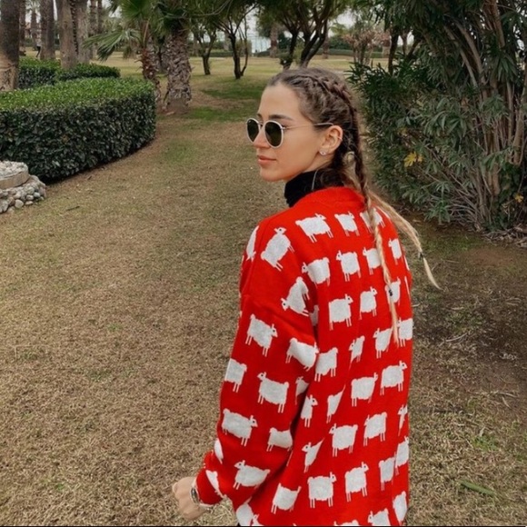 Famous Diana Sheep Sweater - Picture 10 of 14